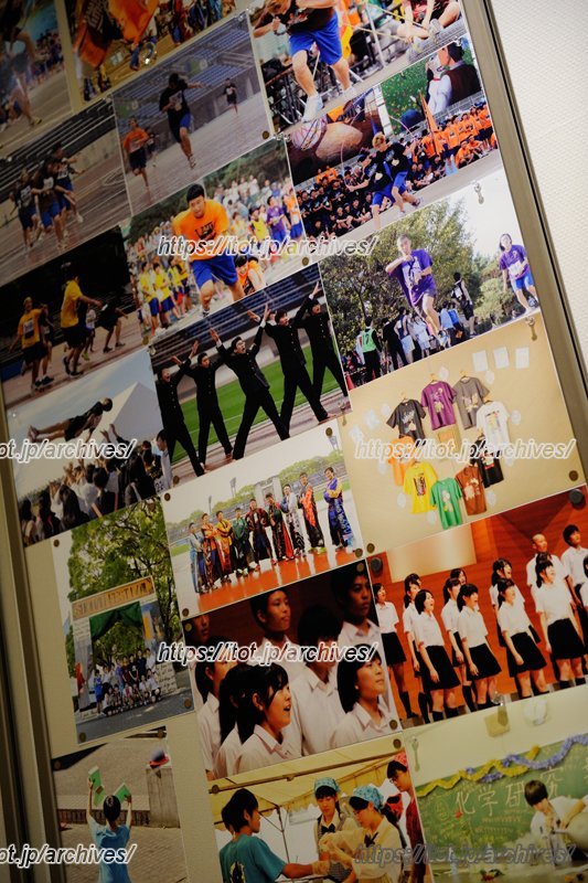 行事や部活動などに一生懸命取り組む