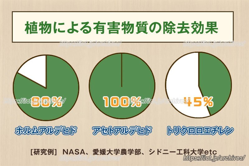 植物による有害物質の除去効果