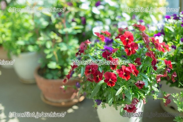 花鉢を設置すると空間に華やかさがでます