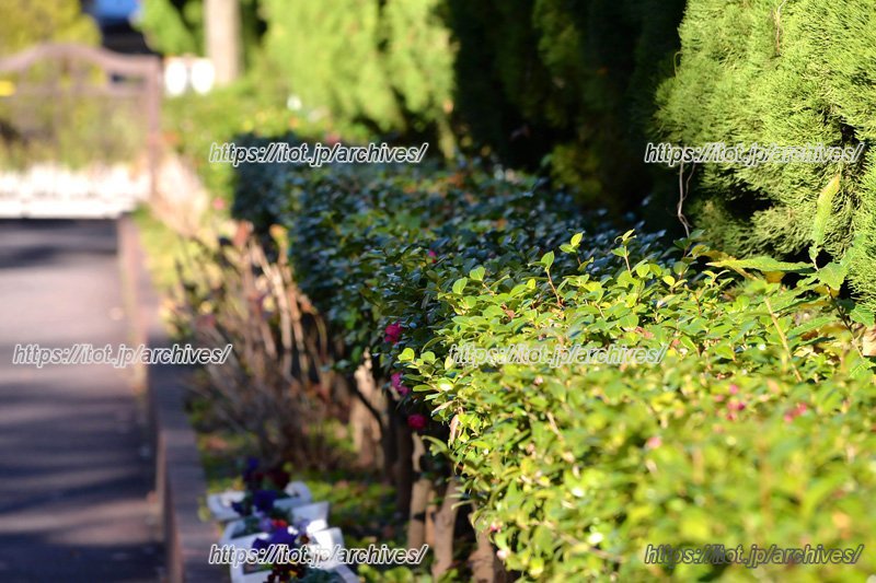 周辺の街の風景