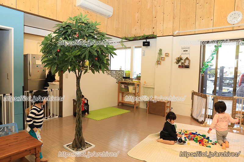 保育室にある大きな木が印象的