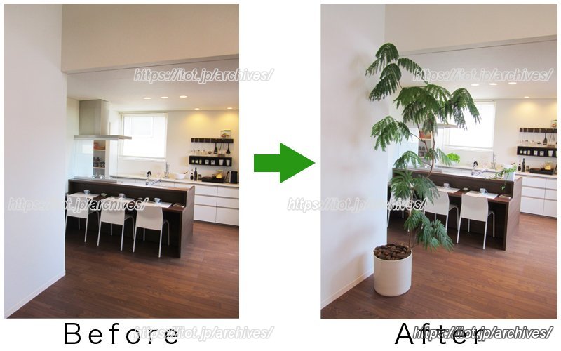 植物の有無で視覚的な効果も