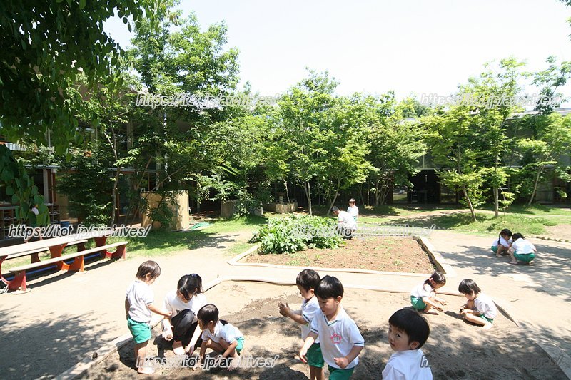 自然に近い、まるで森の中にいるような園庭