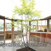 シンボルツリー