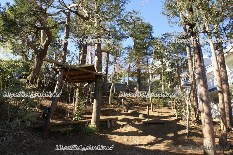 敷地内には雑木林も広がる