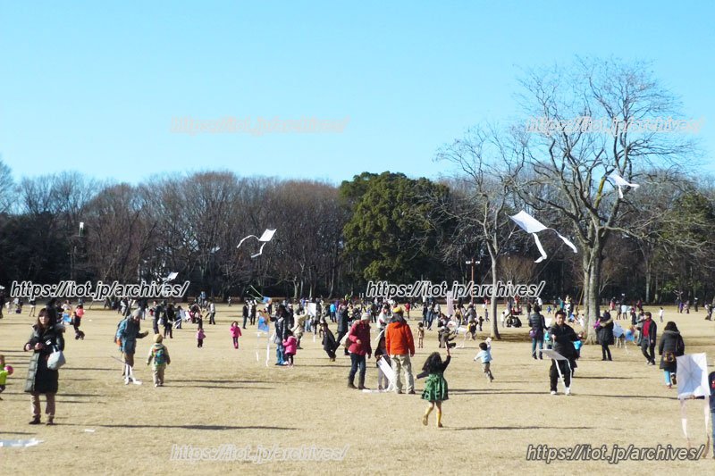 小金井市たこあげ大会