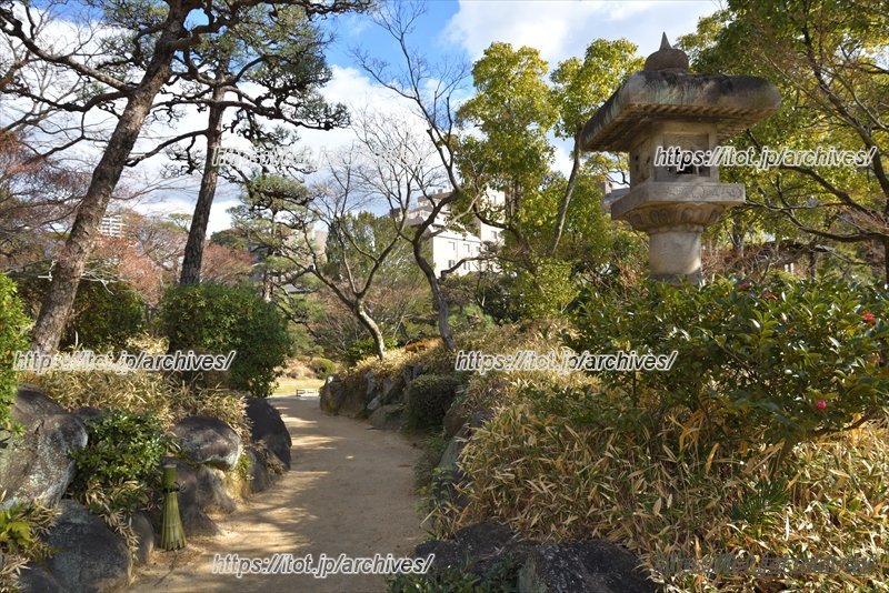 多様な植物を鑑賞できる