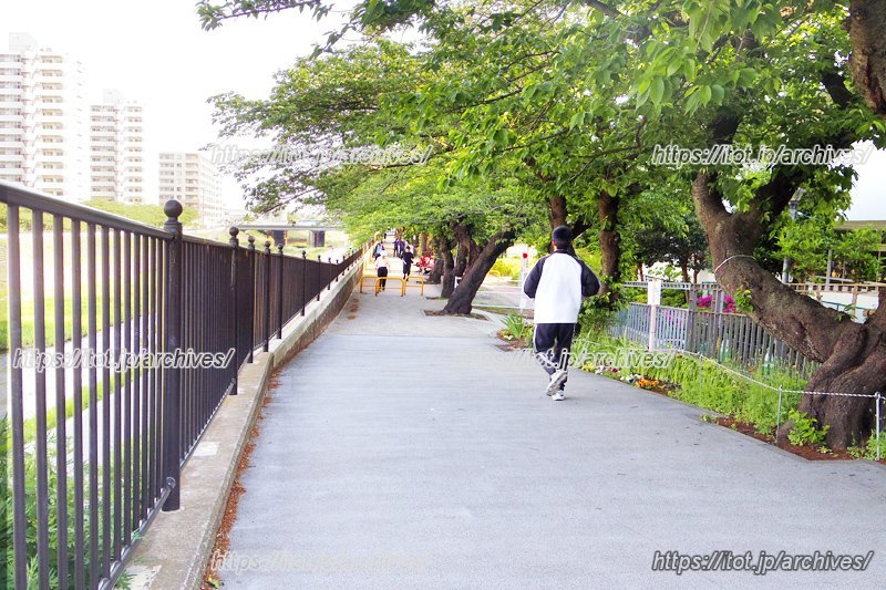マラソンイベントが行われる柏尾川プロムナード