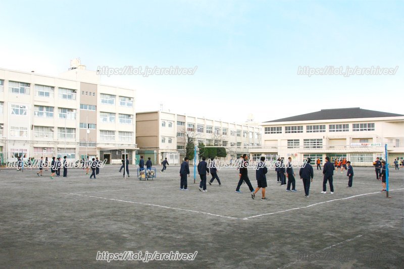 体育の授業の様子