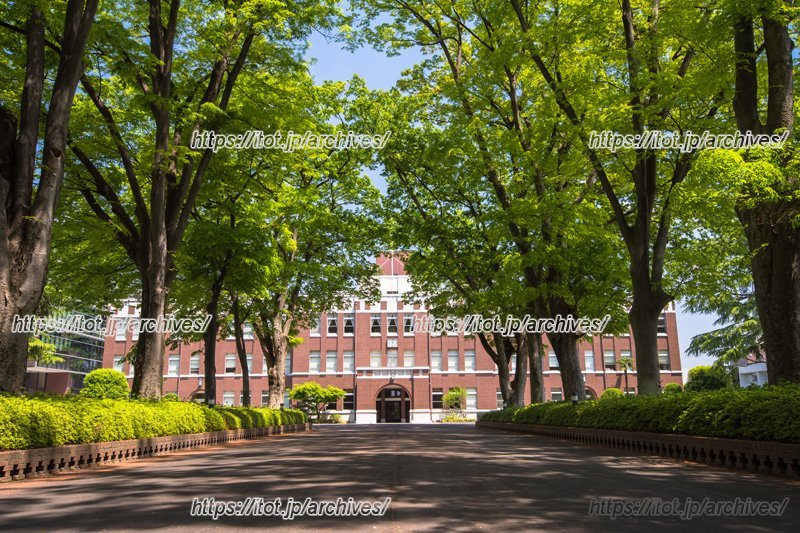 小学校から大学までを擁する総合学園として発展を続け、持続可能な社会を担う次世代の育成に貢献する「成蹊学園」