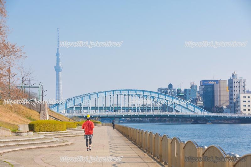 隅田川テラス（新川二丁目周辺）