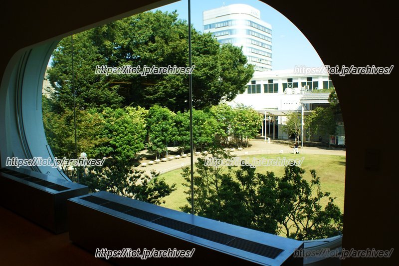 目の前に広がる「境南ふれあい広場公園」