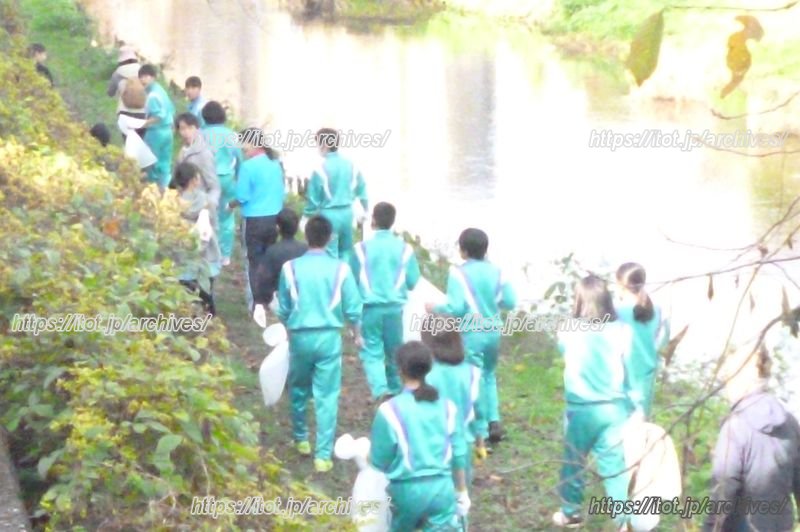 「野川クリーン作戦」の様子