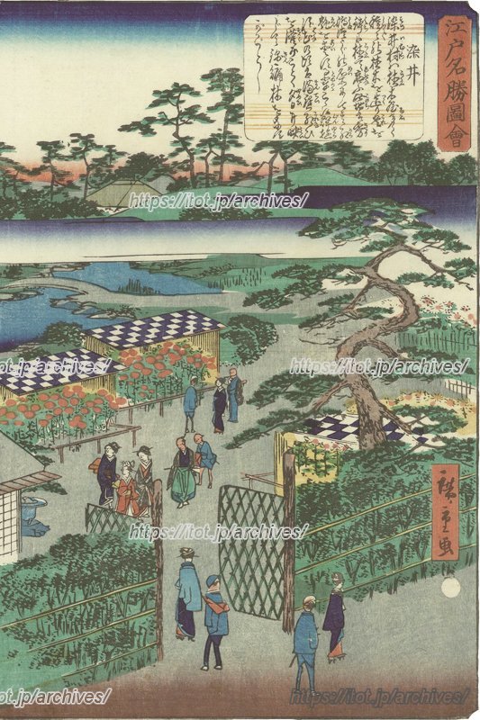 歌川広重画「江戸名勝図会 染井　1861（文久元）年」には、植木屋で花を愛でる庶民の様子が描かれている