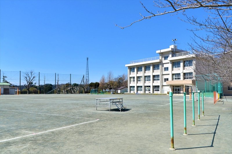 豊かな自然が残された環境で子どもたちを育む／横須賀市立津久井小学校　校長　康乗弘美先生