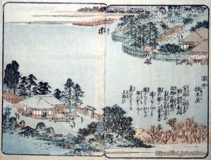 江戸の景勝地を紹介している「絵本江戸土産」で染井の植木屋が描かれている