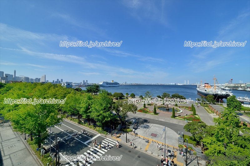 ホテルから望む「山下公園」