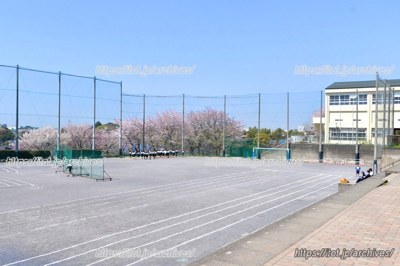 高台に立地する校舎からは街が見渡せる
