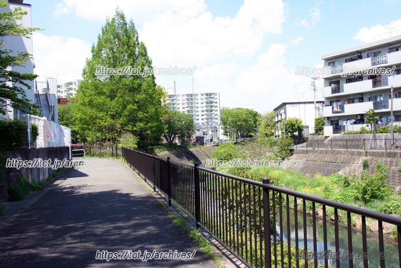 早淵川沿いの遊歩道