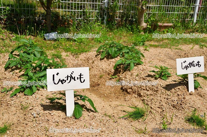 農園を通して自然に触れることができる