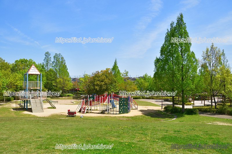 「千代が谷公園」