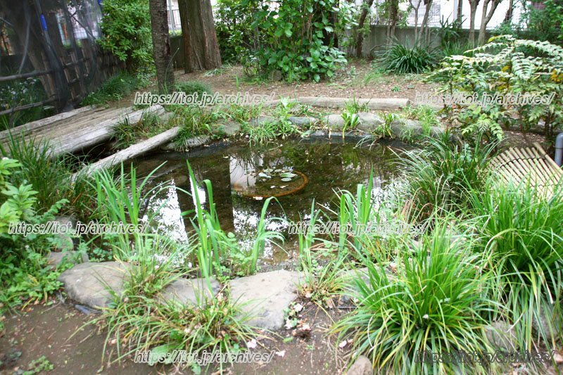 環境教育も盛んでビオトープが作られている