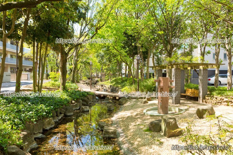 「小松川境川親水公園」の様子