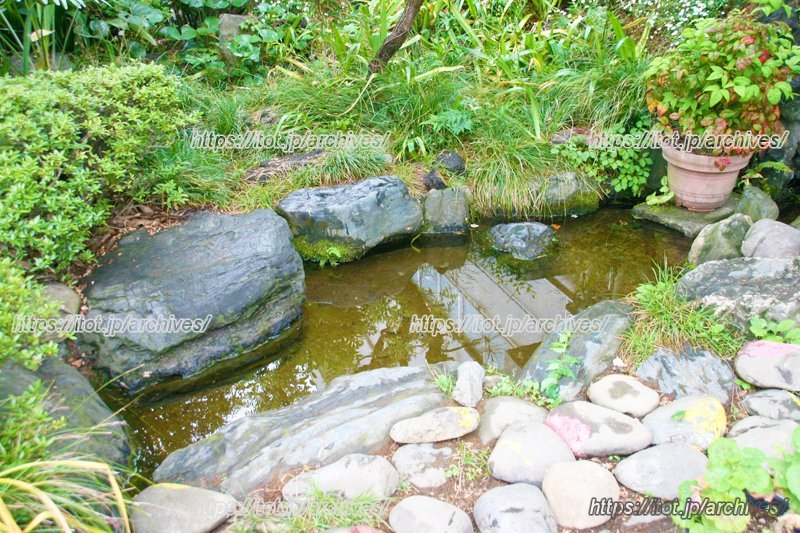 校内にある「ホタル池」