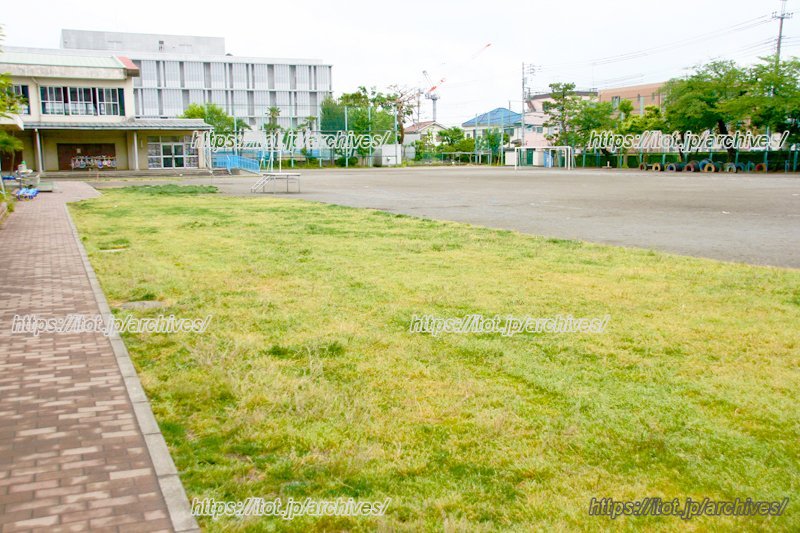 校庭の芝生は子どもたちにも好評