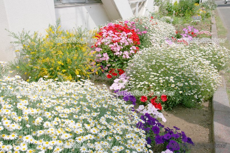 地域の人たちによる花壇