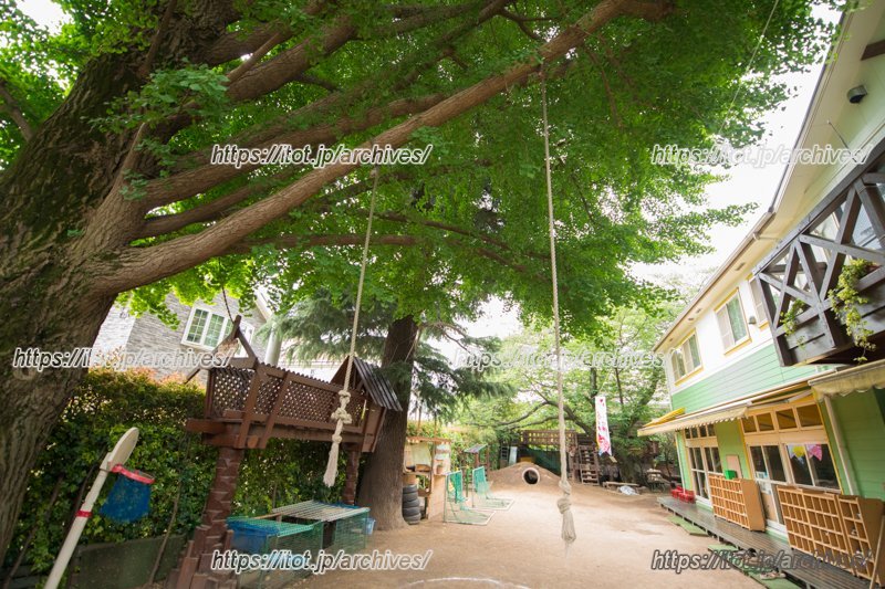 ぶら下がって遊べるロープ