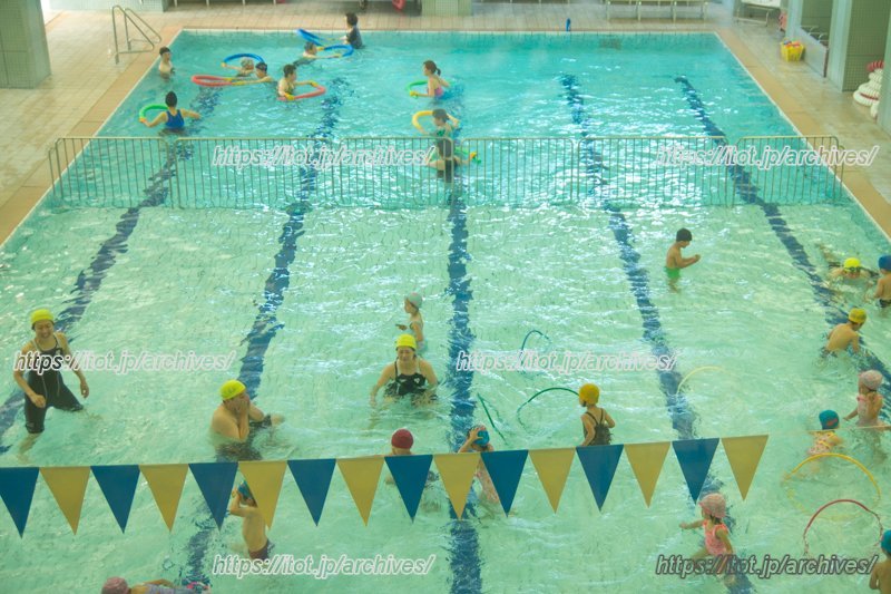 水泳プログラムは一番人気