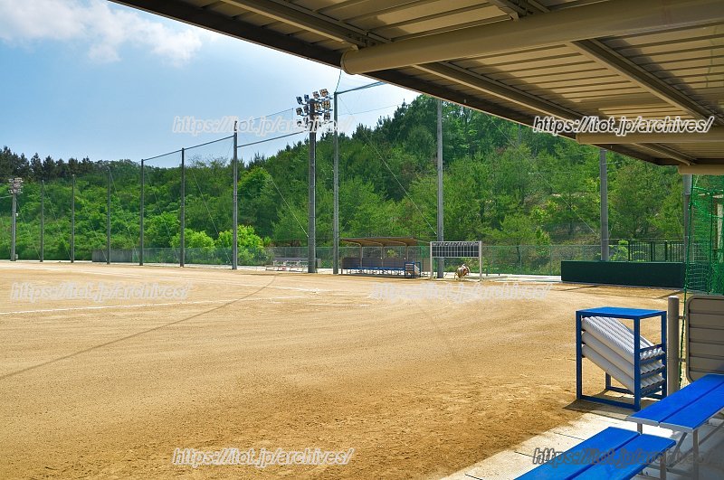ナイター施設も完備した野球場