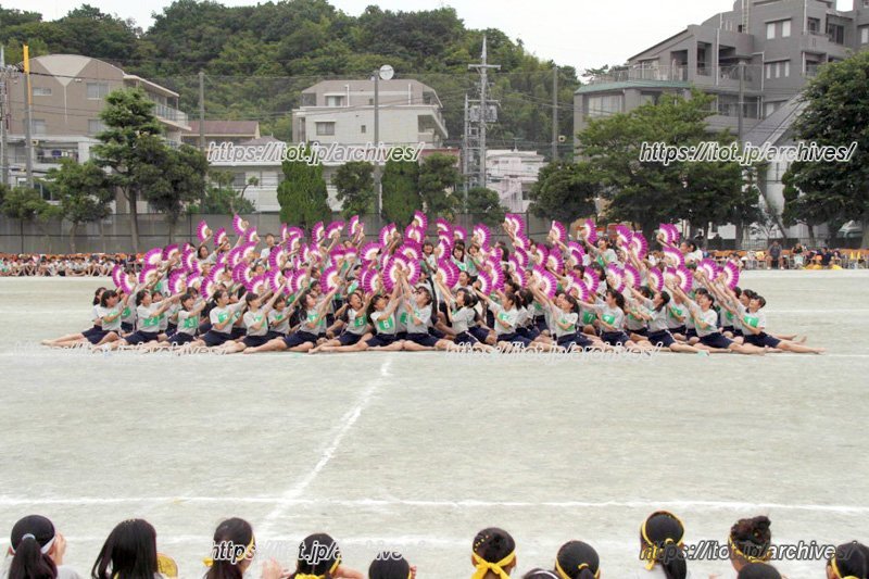 体育大会 3年生集団演技 扇の舞(提供:横浜市立大綱中学校)
