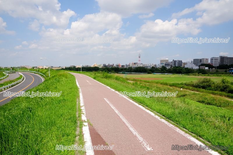 江戸川河川敷