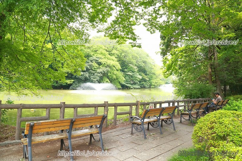 「井の頭恩賜公園」