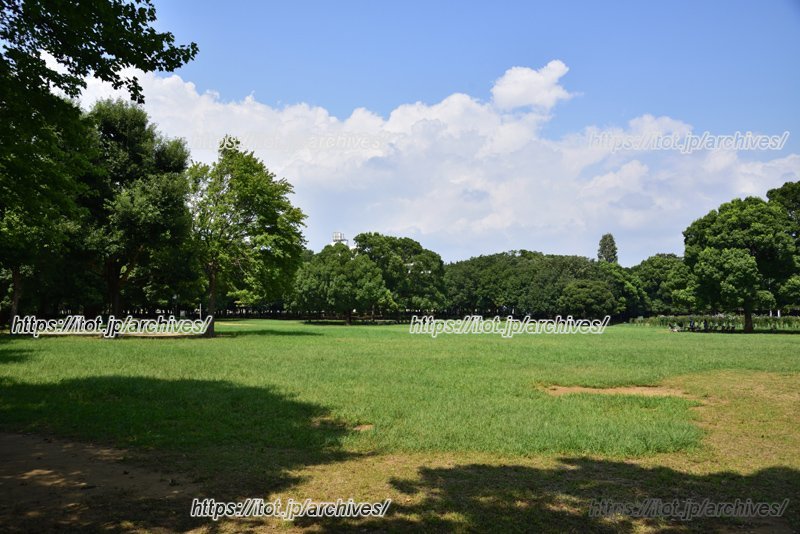 授業でも利用する「千葉県立行田公園」