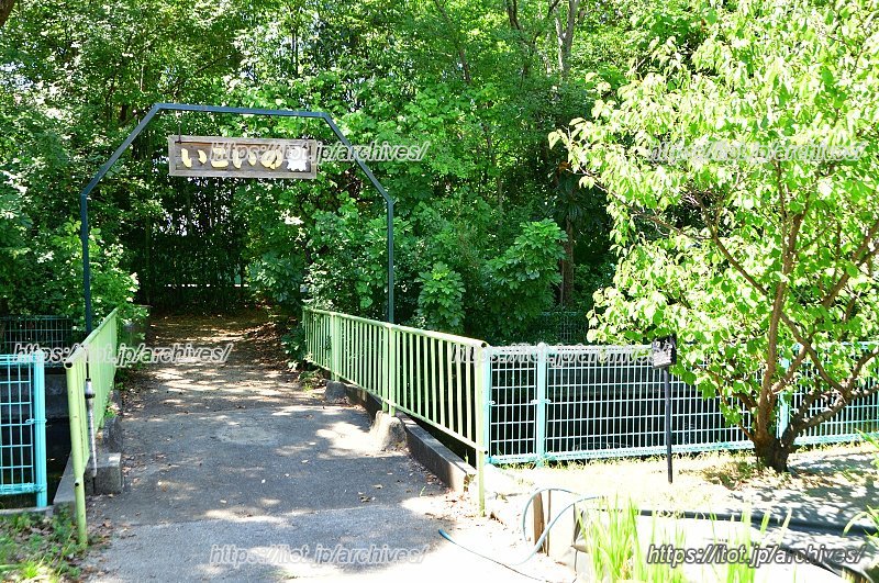 「いこいの森」