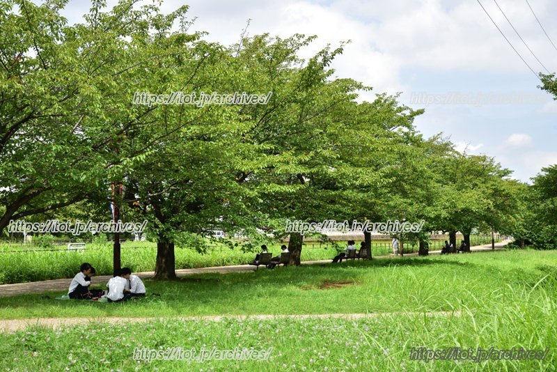 近くの「新横浜駅前公園」へ足を伸ばして遊ぶことも