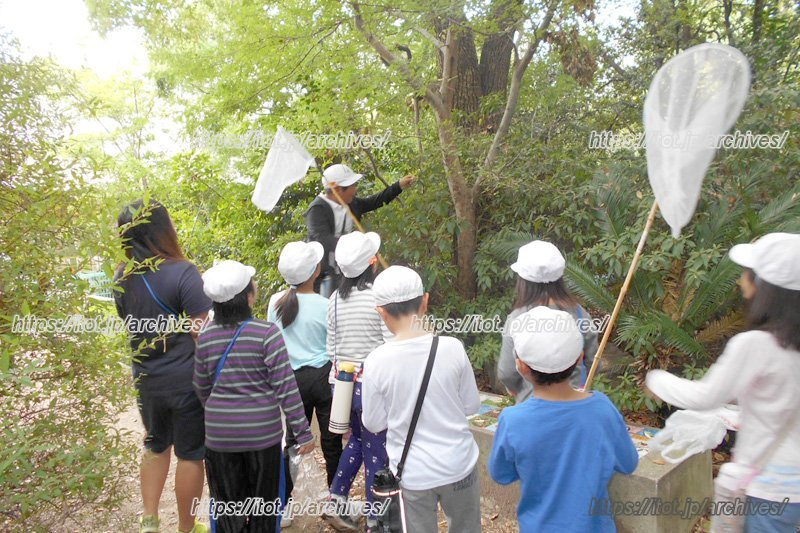 「いこいの森」で探検