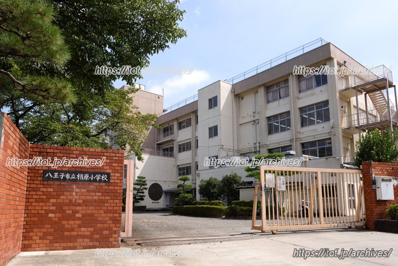 緑の山々を背に、素直な子どもたちが学ぶ「八王子市立楢原小学校」／校長 原市裕先生