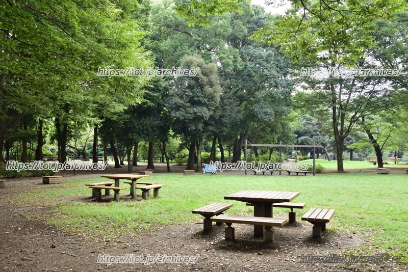 近隣には自然豊かな公園も多い（写真：和田堀公園）