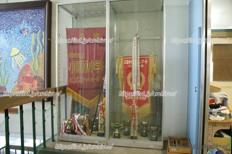 様々な賞を受賞している