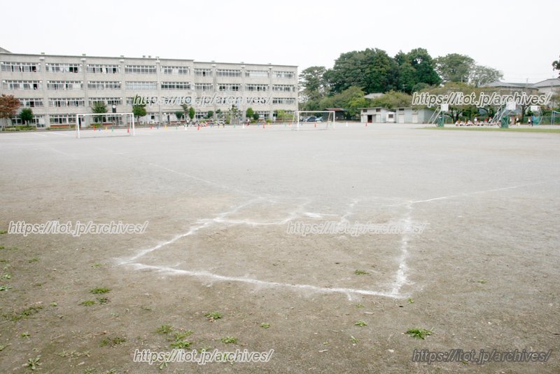のびのびと遊べる校庭