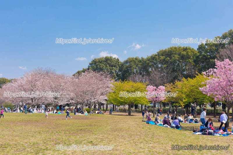 西東京いこいの森公園