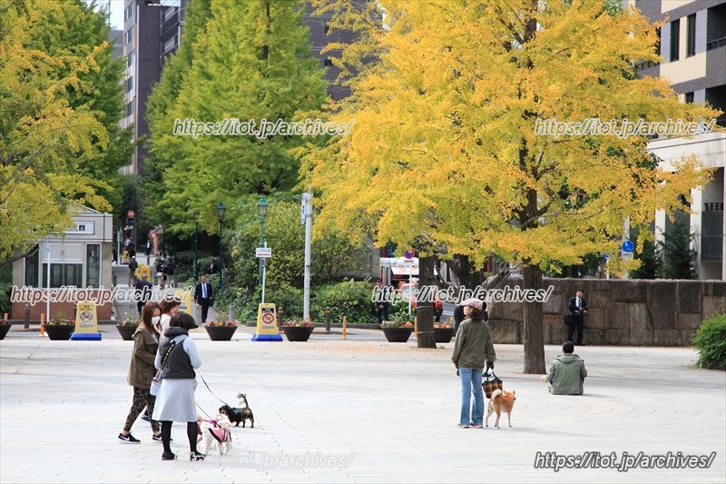 かつて武家屋敷があった場所は、現在は地域の憩いの場となった「浜町公園」になっている