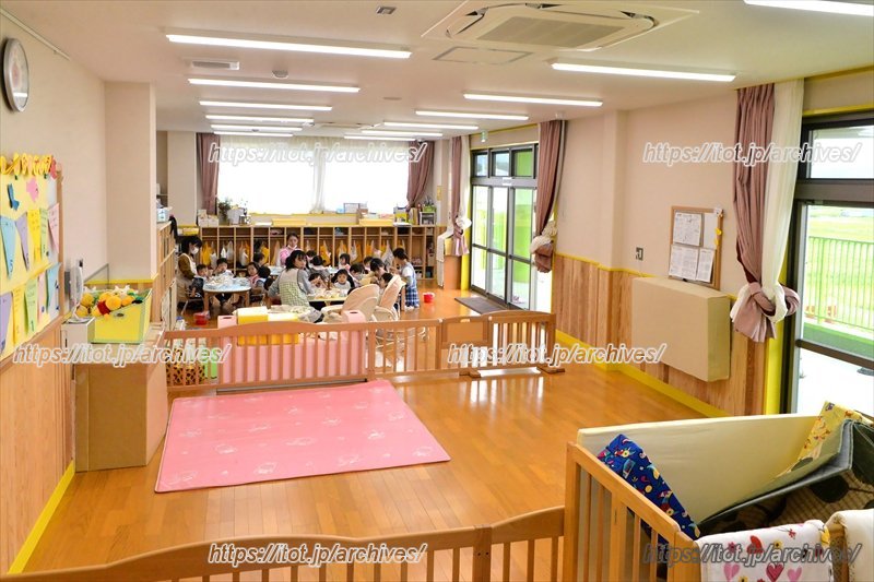 自然光たっぷりの園内