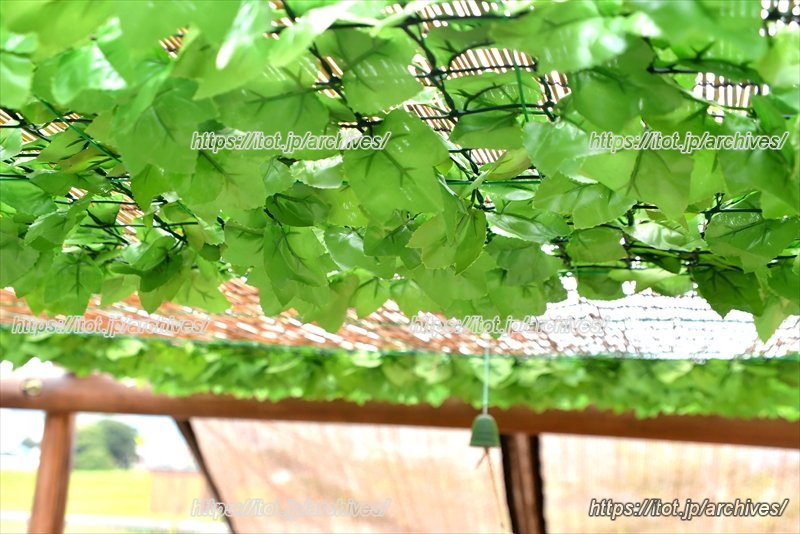 自然を身近に感じられる環境