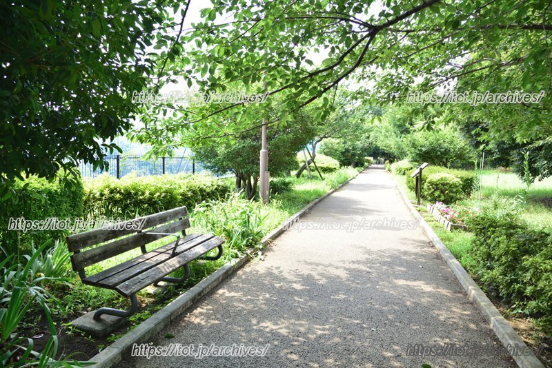 自然も豊かな三鷹エリア