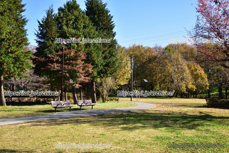 近くの「武蔵野公園」で園の行事を開催